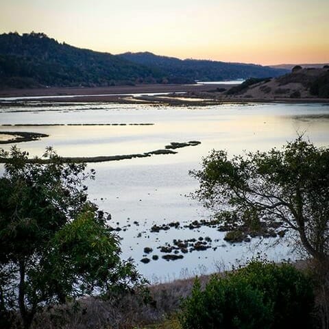 Featured Writer’s Residency: The Mesa Refuge, A Writer’s Retreat on the Bluffs of Tomales Bay