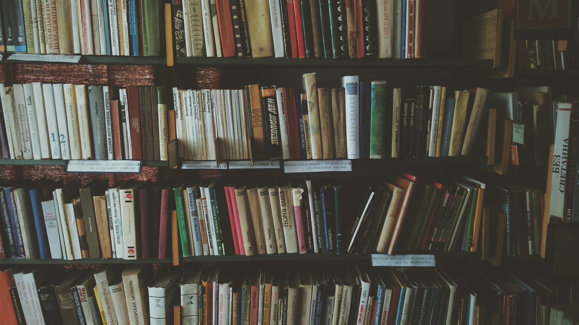 national library week