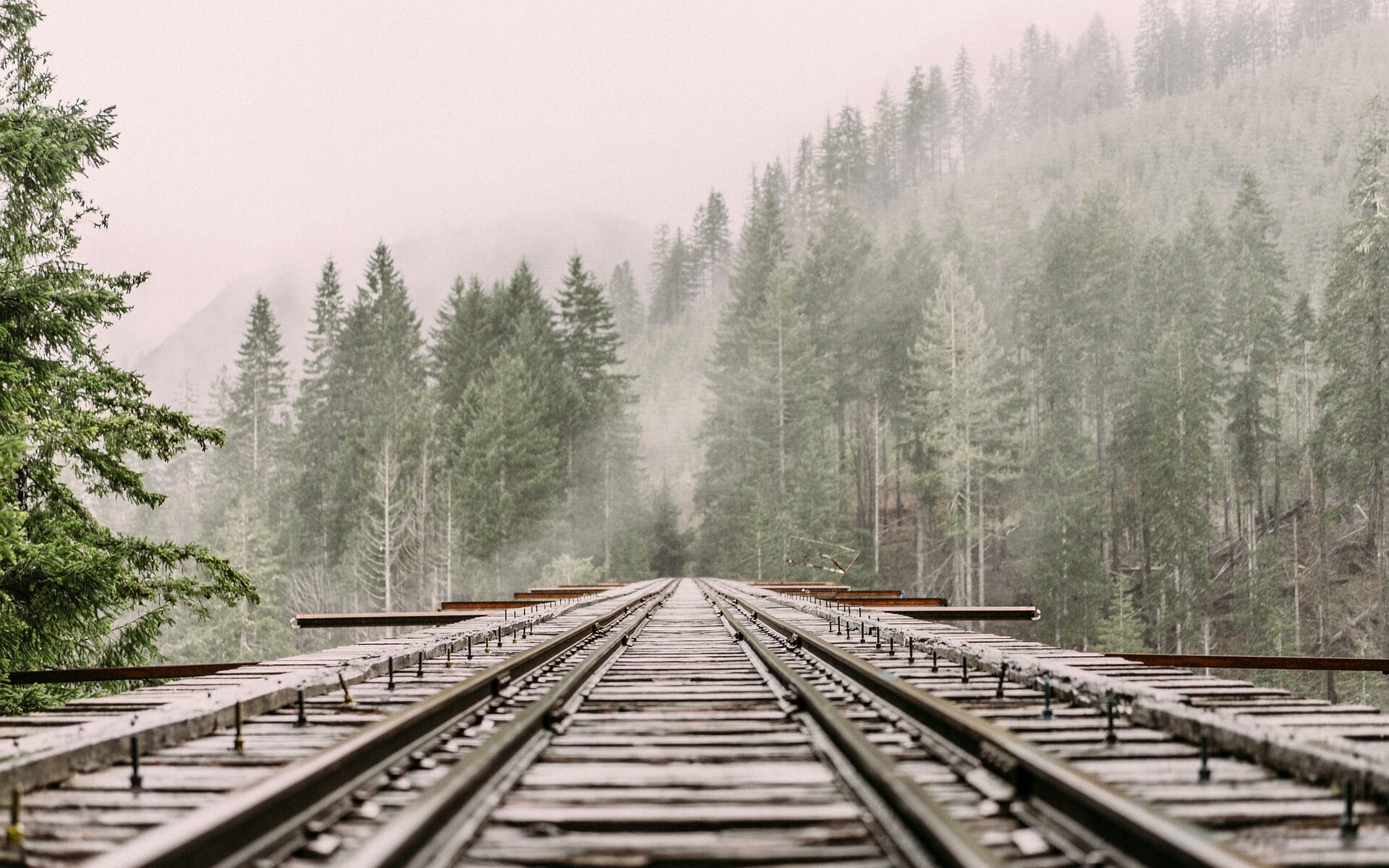 All Aboard! 3 Writers on Amtrak’s Amazing Writing Residency