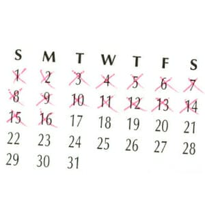 Write Every Day: How to Meet Your Daily Writing Goals